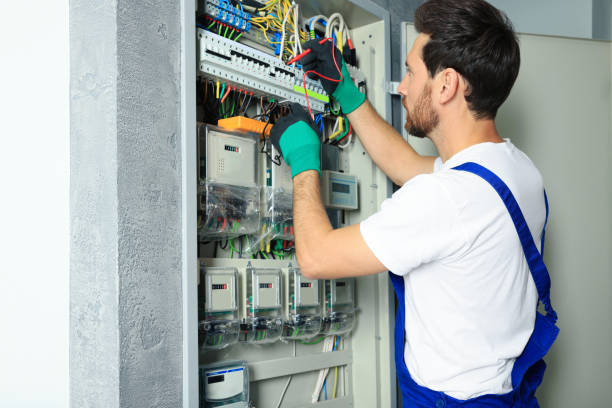 Best Electric Panel Repair  in Carrollton, IL