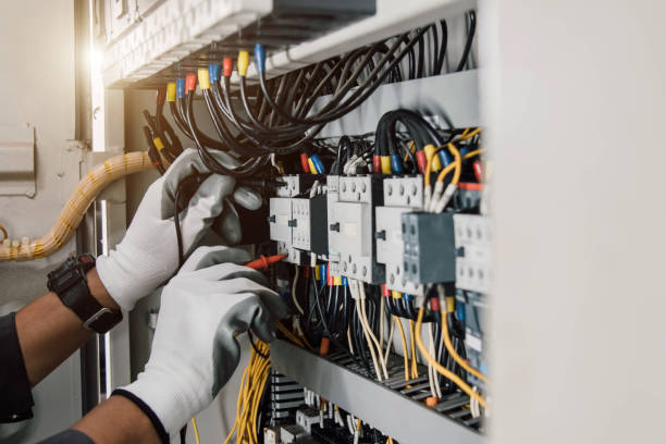 Best Local Electrician Companies  in Carrollton, IL